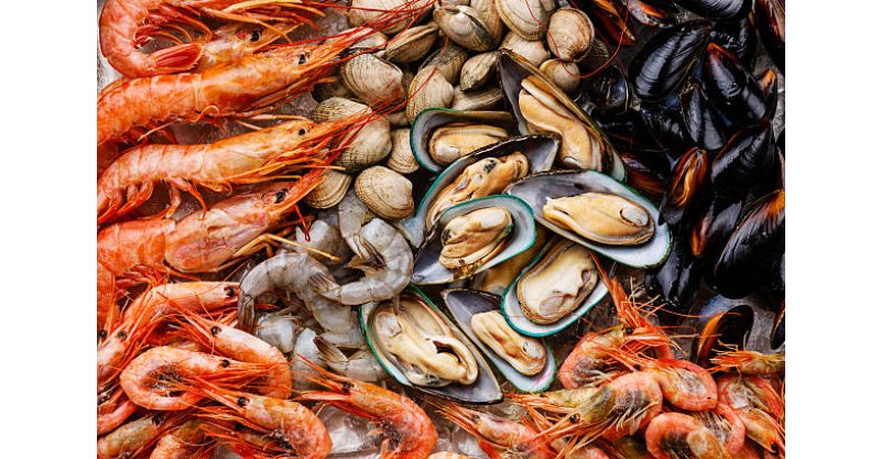  Laguna e Imbituba / Moradores relatam intoxicação após comer mariscos nas referidas cidades do Sul SC