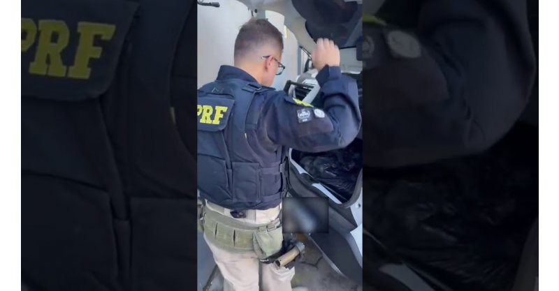  Motorista é flagrado na BR-101 transportando 11 quilos de maconha para Criciúma