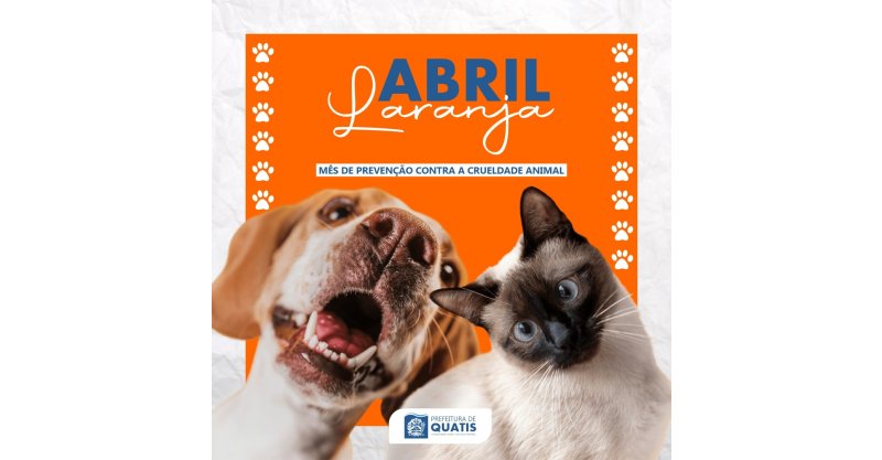 Abril Laranja: Santa Catarina intensifica Campanha de prevenção contra a crueldade animal