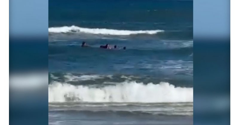 Ação rápida de guarda-vidas evita afogamentos na Praia do Rosa