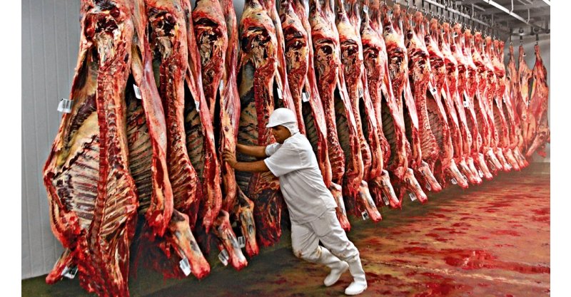 Brasil deve produzir mais de 31 milhões de toneladas de carnes em 2025