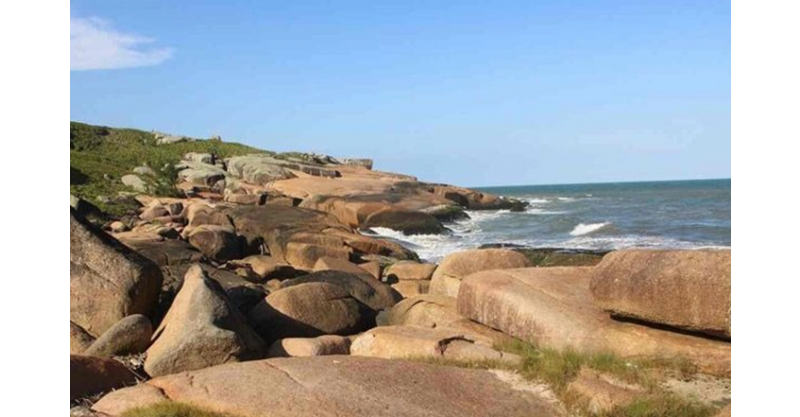 Casal é resgatado por surfista após se afogar