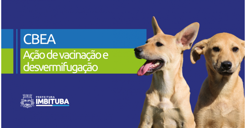 Centro de Bem-Estar Animal realizará ação especial de vacinação e desvermifugação gratuita para proteger os pets de Imbituba