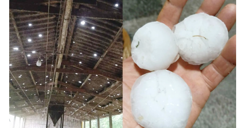 Chuvas intensas e granizo afetam 1.558 casas e fazem sete municípios decretarem Situação de Emergência em SC