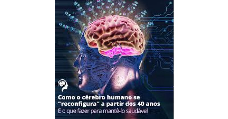 Cérebro passa por mudanças de fase nestas 4 idades, segundo estudo
