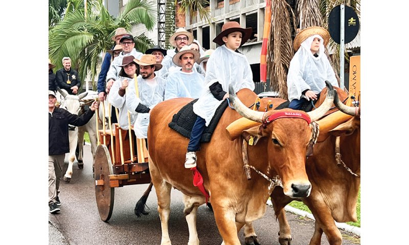 Desfile de carros de boi emociona Tubarão após mais de 30 anos