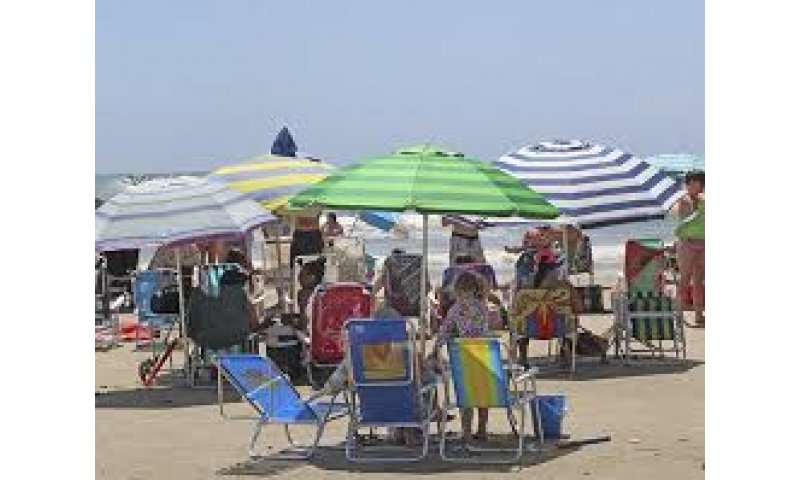 Especialista alerta sobre doenças de verão