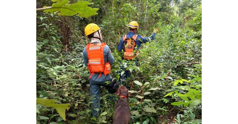 Homem desaparecido é encontrado morto após buscas