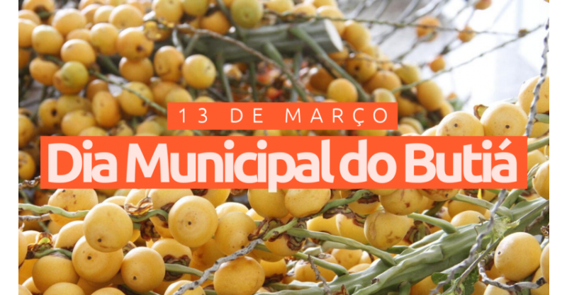 Imbituba celebra o Dia Municipal do Butiá: Símbolo de cultura, sustentabilidade e economia