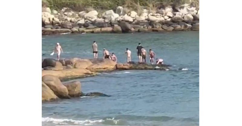 Imbituba / Praia do Rosa /  Internos de clínica são arrastados por correnteza e salvos por policiais com apoio de pescador