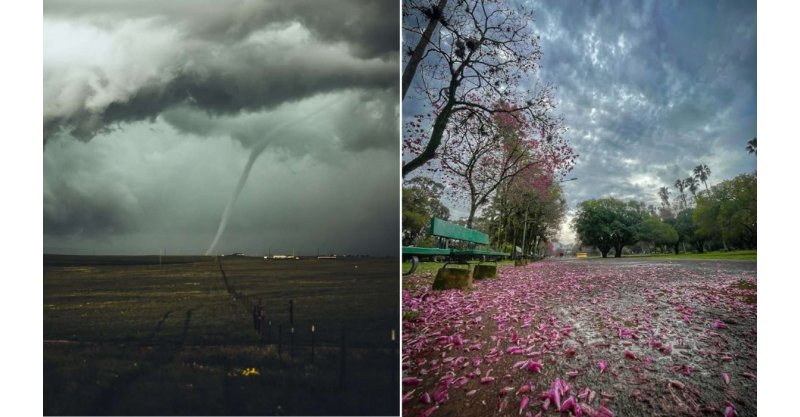 Inverno dá adeus com ciclone extratropical e primavera começa com frente fria intensa; veja como fica o tempo/início da estação