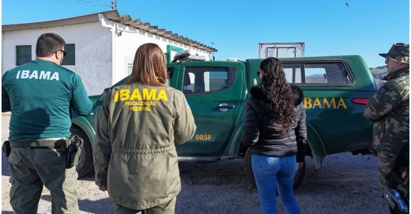 LAGUNA / Fiscalização apreende 14 toneladas de pescado em empresa de SC