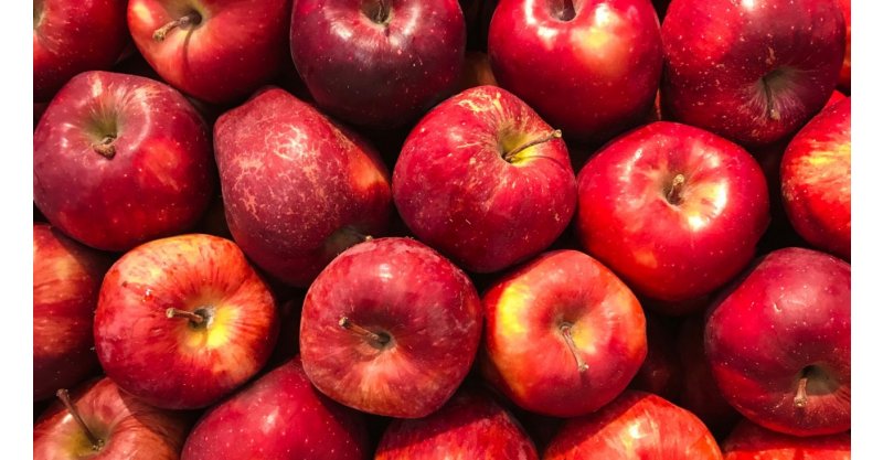 Maior produtor de maçã do Brasil, SC muda rota e deixa de depender do RS na exportação