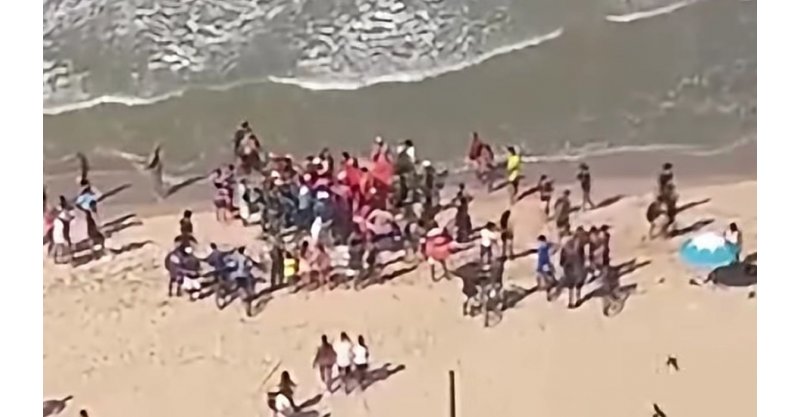 Menino de 11 anos é mordido por tubarão em praia de Pernambuco e passa por cirurgia no hospital