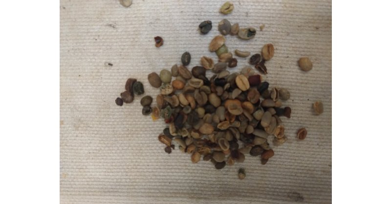 Ministério da Agricultura apreende 4,2 toneladas de cascas usadas para substituir grãos de café em SC