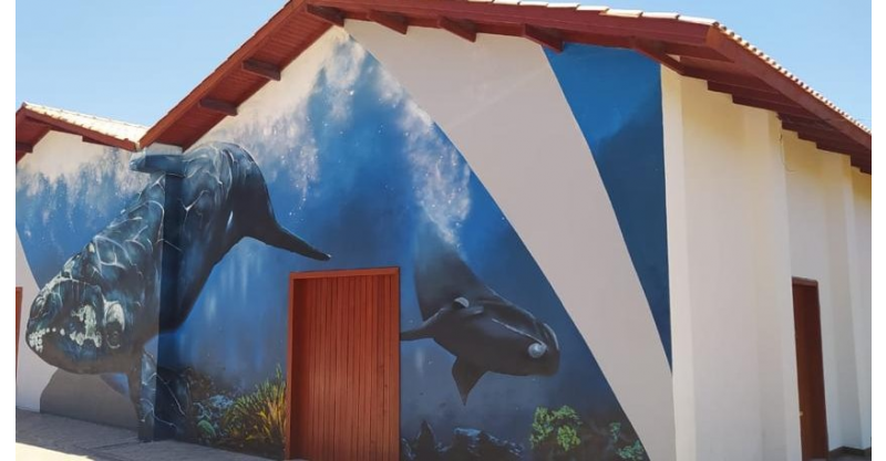 Museu da Baleia de Imbituba retoma horário padrão de funcionamento a partir da próxima semana