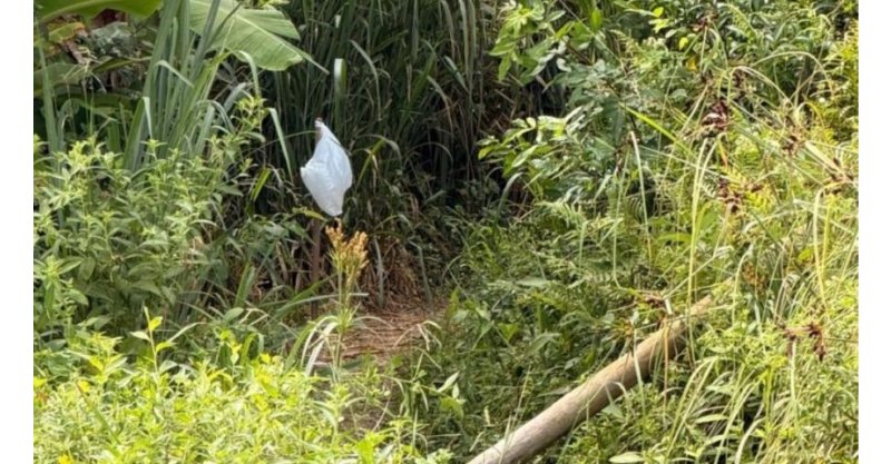 Pai e filha morrem eletrocutados em trilha de Imbituba