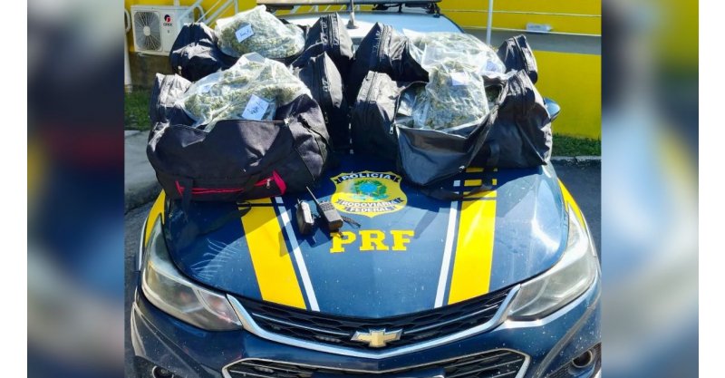 Paulo Lopes / Cheiro de droga entrega motorista, e PRF apreende 24 kg de “supermaconha” na BR-101 no município
