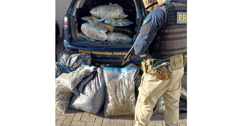 Paulo Lopes / Polícia apreende 86 kg de skunk e prende dois homens em flagrante no município