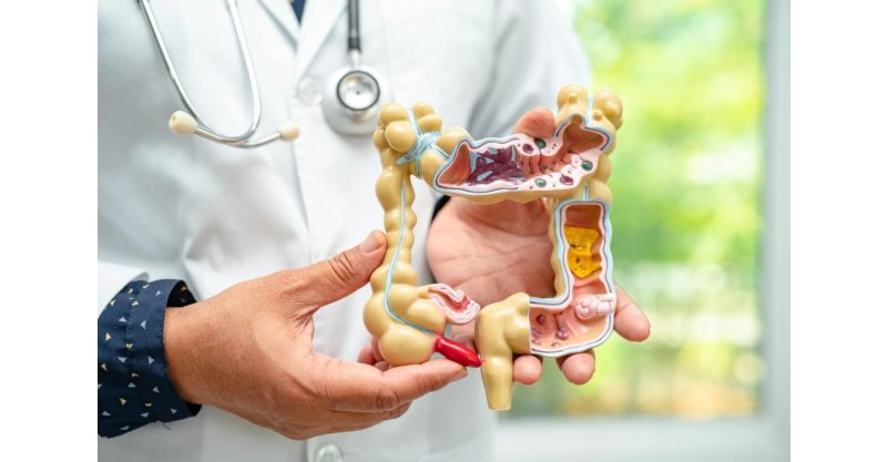 Por quanto tempo é necessário comer fibras para regular o intestino, segundo estudo japonês
