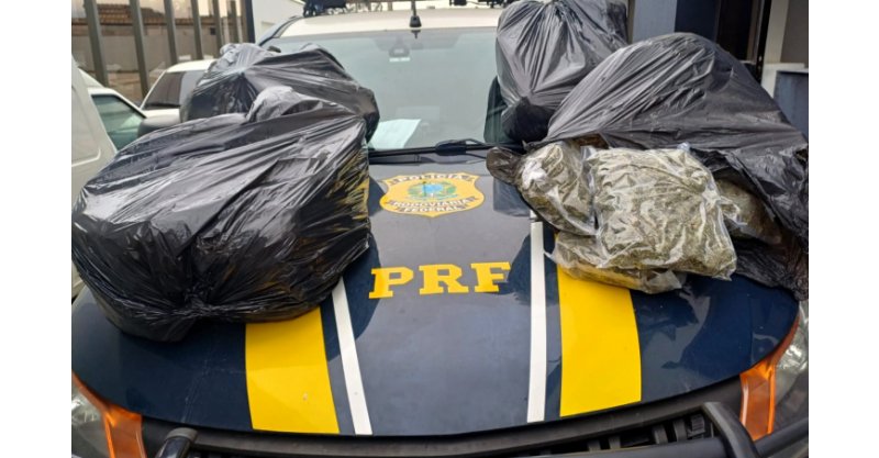 PRF apreende grande quantidade de droga com alto poder alucinógeno em Imbituba