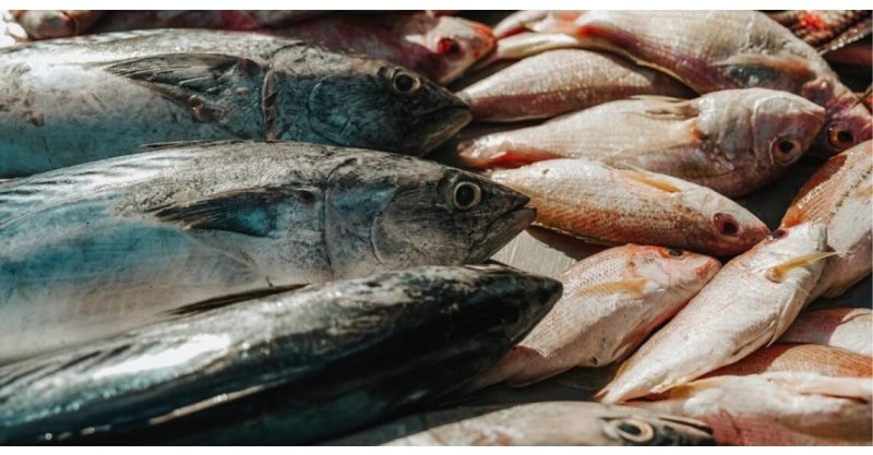 Procon de Florianópolis divulga pesquisa e mostra onde economizar na Semana Santa