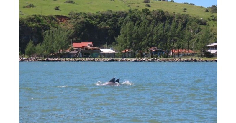 Qualidade da água no Complexo Lagunar entra em monitoramento contínuo
