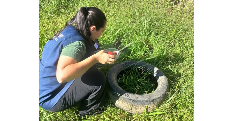 Região registra mais de dois mil focos do mosquito