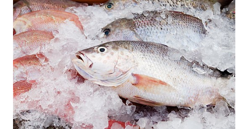 Semana Santa: Cidasc orienta população sobre compra de pescado