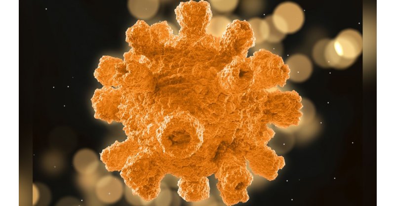 Superbactéria considerada uma das mais letais do mundo é encontrada em praias do Brasil