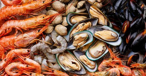  Laguna e Imbituba / Moradores relatam intoxicação após comer mariscos nas referidas cidades do Sul SC