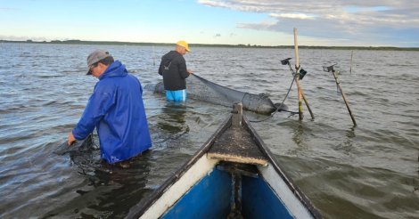 Após mais de 20 anos/espera/portaria/Governo Federal é assinada/pesca artesanal/camarão ganha regulamentação histórica para SC