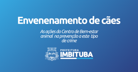 Centro de Bem-Estar Animal atua em casos de envenenamento de cães e pede apoio da população