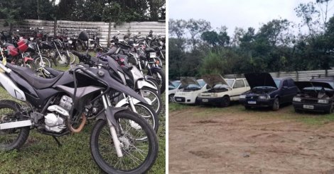 Chance de ter veículo próprio em SC: Detran faz leilão com lances online e opção para rodar