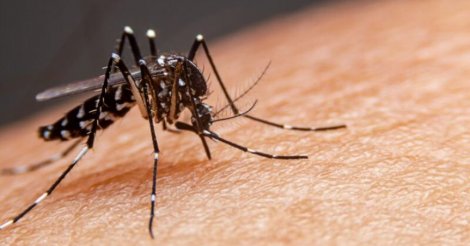 Cidade da região confirma primeiro caso de dengue com transmissão dentro do município