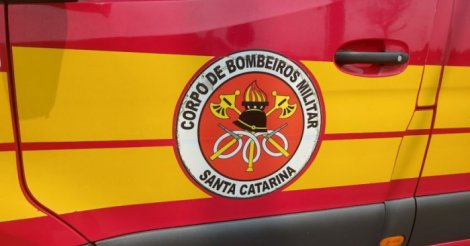 Criança de 10 anos morre atropelada em Orleans