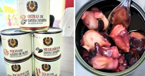 Florianópolis sai na frente e ganha primeira fábrica de ostras e mexilhões enlatados do Brasil