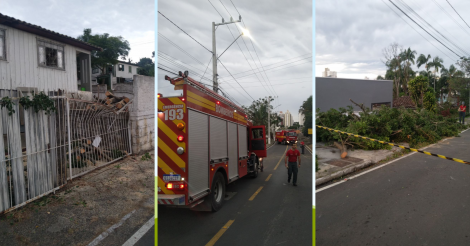 Fortes ventos provocam queda de árvores em Criciúma, Içara, Urussanga e Lauro Müller