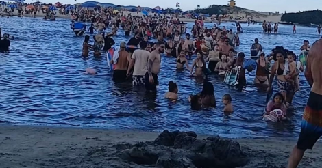Grande Florianópolis / Praia da Guarda do embaú superlotada 