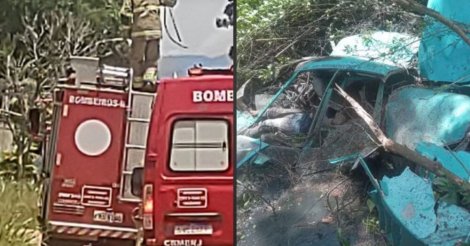 Helicóptero cai em área de mata no Rio de Janeiro e deixa quatro mortos