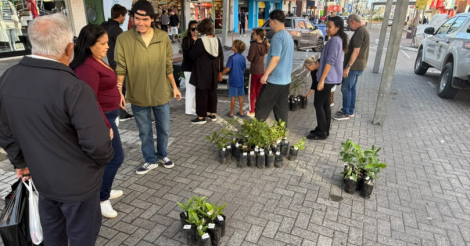 Imbituba celebra o Dia Mundial do Meio Ambiente com distribuição de mudas nativas