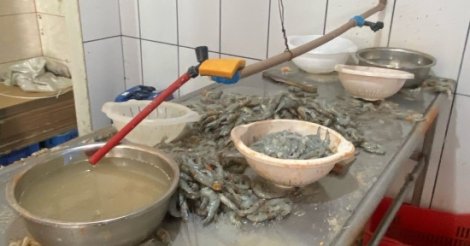 IMBITUBA / Polícia apreende tonelada de pescado irregular