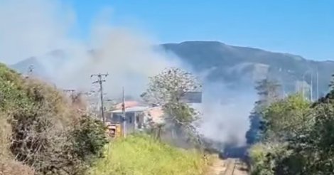 Incêndio em vegetação causa transtornos em Cabeçuda