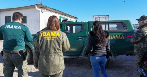 LAGUNA / Fiscalização apreende 14 toneladas de pescado em empresa de SC