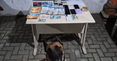 Laguna / Operação da PM prende cinco pessoas por tráfico e apreende quase 1 kg de drogas