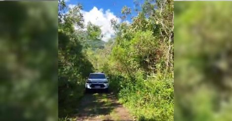 Manhã de terror: homem invade casa, amarra mulher e sequestra ex em SC