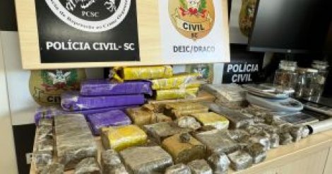 Operação Tio Patinhas V prende seis narcotraficantes em Palhoça