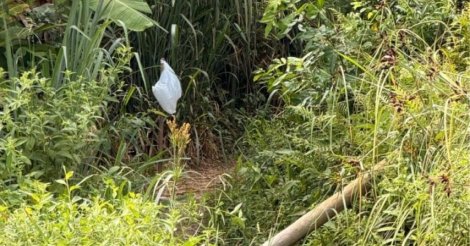 Pai e filha morrem eletrocutados em trilha de Imbituba