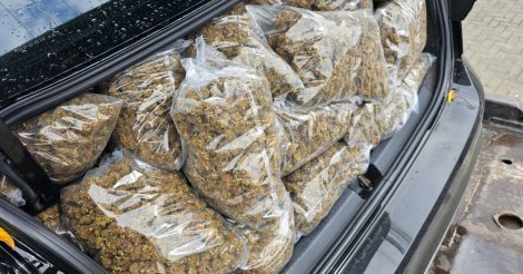Polícia apreende 47 quilos de skunk em operação entre Imbituba e Garopaba