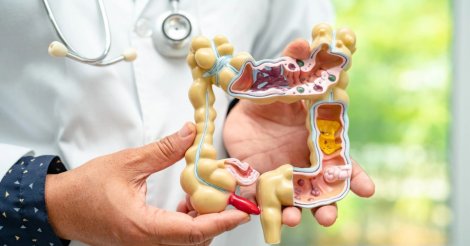 Por quanto tempo é necessário comer fibras para regular o intestino, segundo estudo japonês